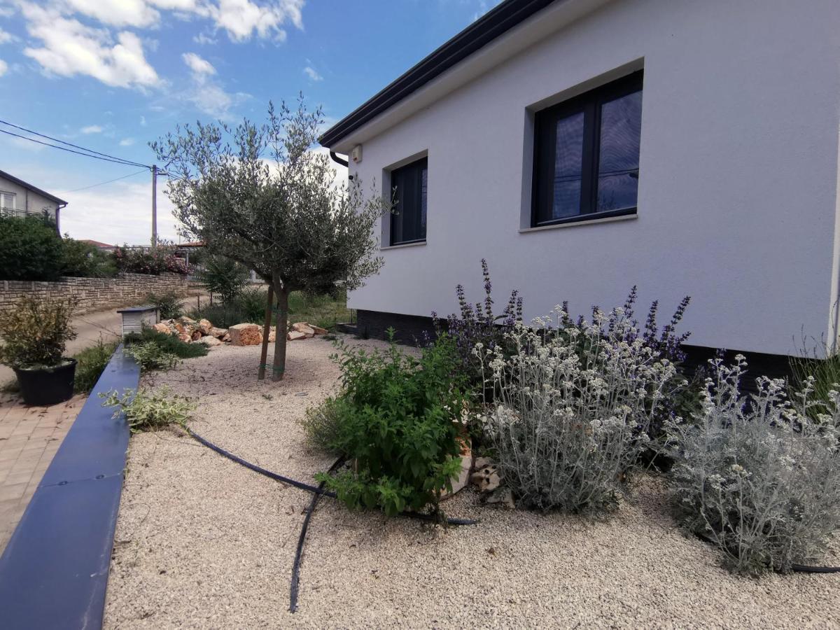 Villa Oliva Umag Exterior photo